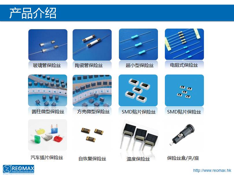 瑞卓保險絲 REOMAX fuse
